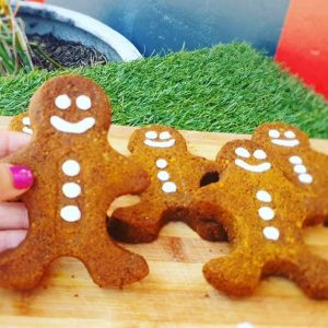 Ginger Bread Man - Low Carb - Keto- Wheat Free- Gluten Free- No added Sugar